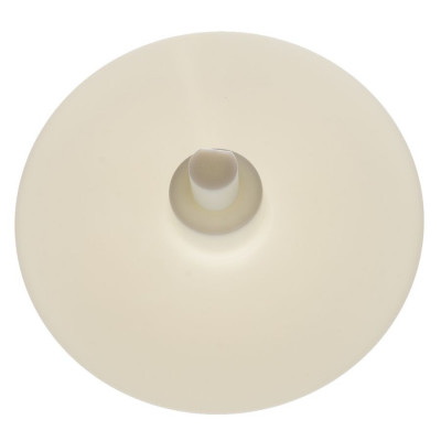 Диск-выбрасыватель для R301, арт.100954S