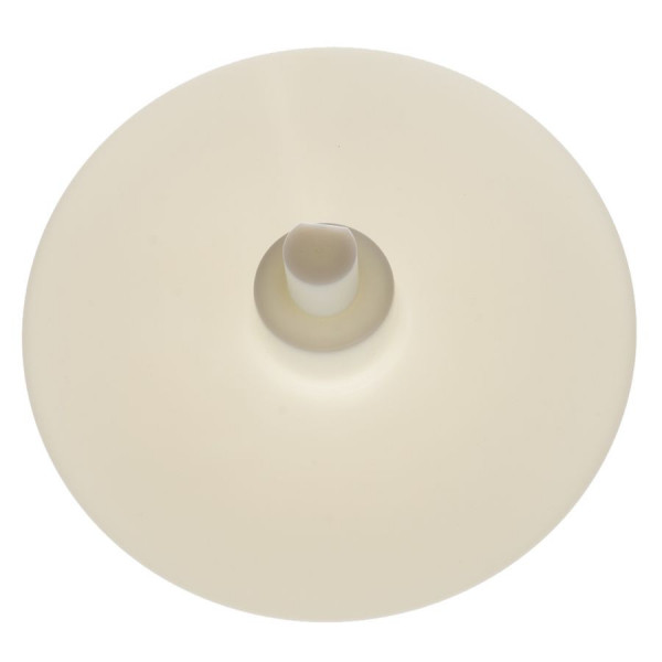 Диск-выбрасыватель для R301, арт.100954S в Москве