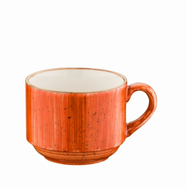 Bonna TERRACOTA AURA Чашка ATC BNC 01 CF (210 мл) в Москве