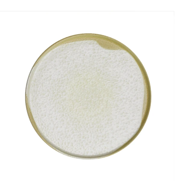 KUTAHYA Sand Wind BNROT24DU890552 Тарелка с плоским дном без полей (d24см, h1,8см) фарфор в Москве