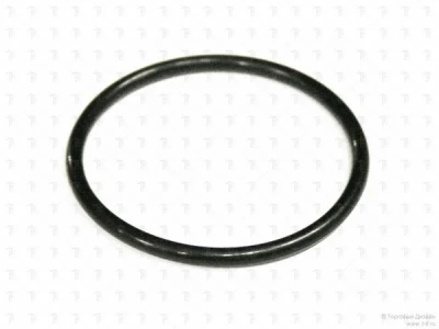 Уплотнение Q307051 для FI-48В