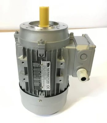 Электродвигатель 11000618 для машины тестомесильной спиральной т.м. SIGMA, серии TAURO